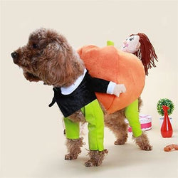 The Pumpkin Carrier Dog